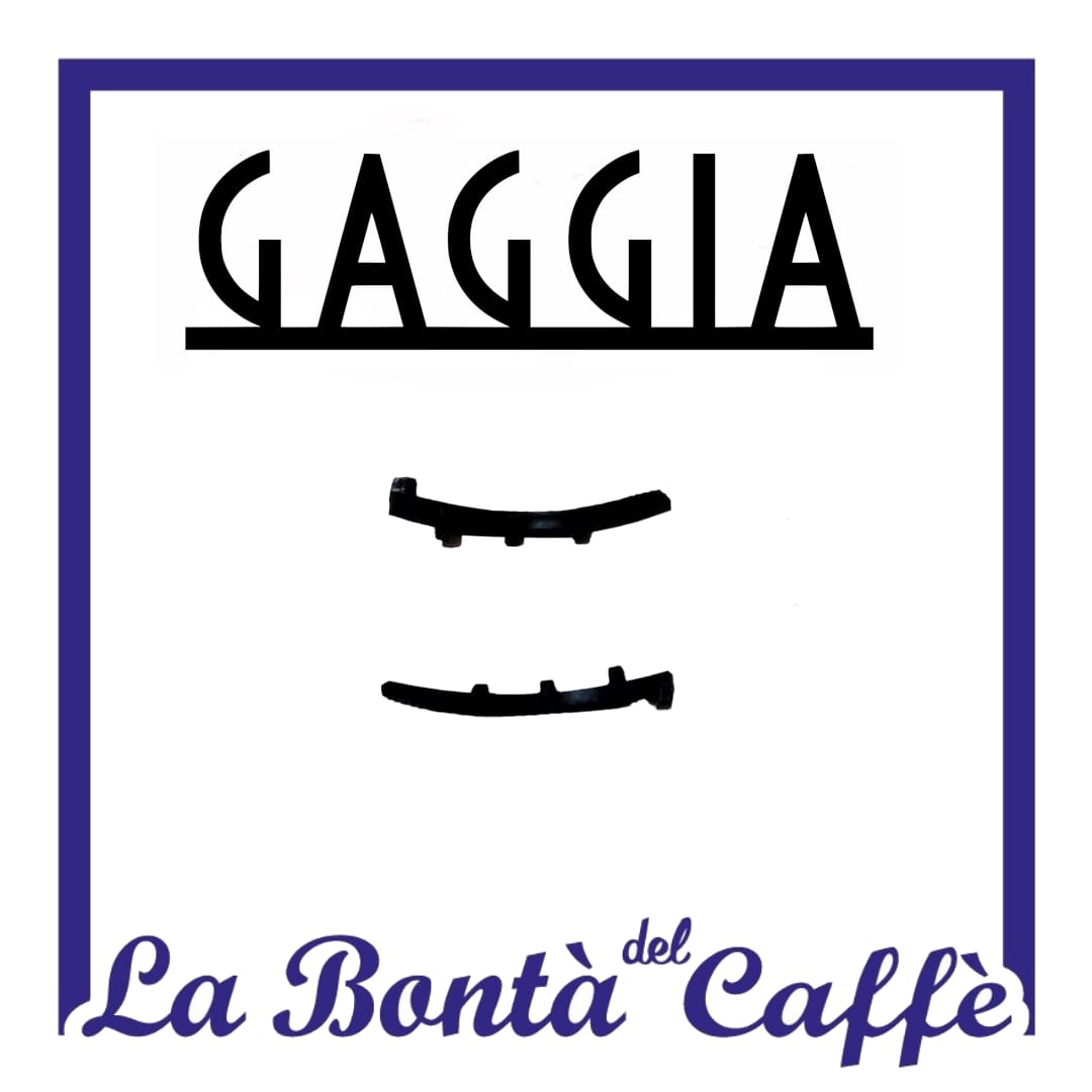 Coppia Guide Pattini Caldaia Inferiore Anello Portafiltro Gaggia Viva Style Grangaggia - Ricambio Compatibile