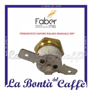 Termostato Vapore Riarmo Manuale 250° Macchina Caffe' Slot  Faber Ricambio